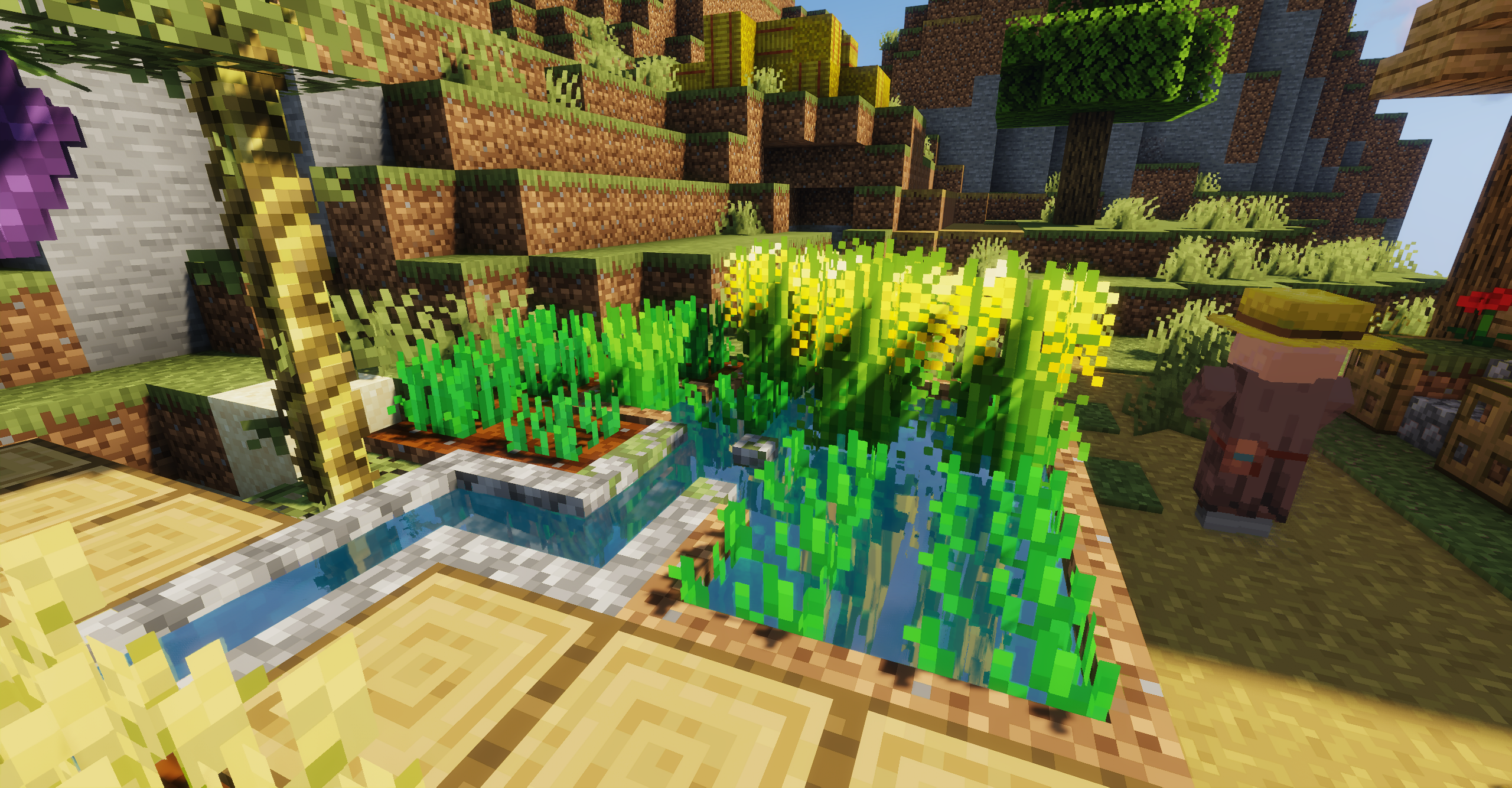 plant_rice.png