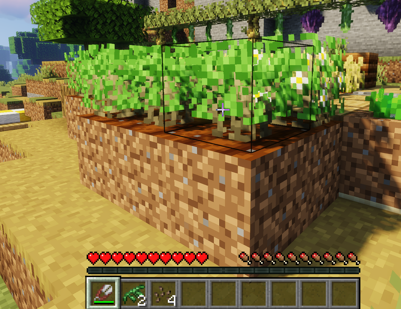 plant_tea.png
